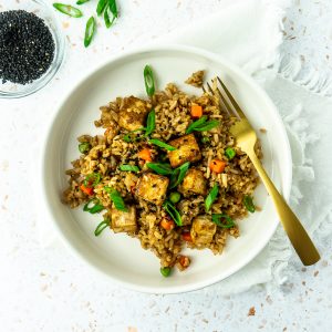 Bowl of vegan tofu fried rice