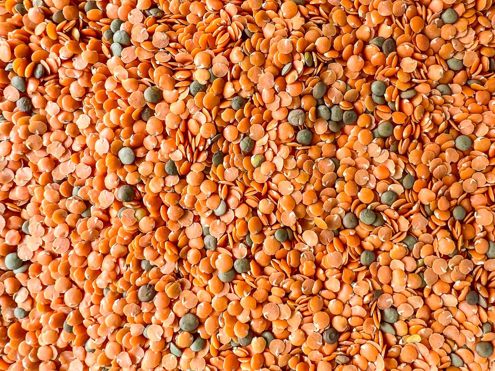 Red lentils with some green lentils throughout spread across a table.