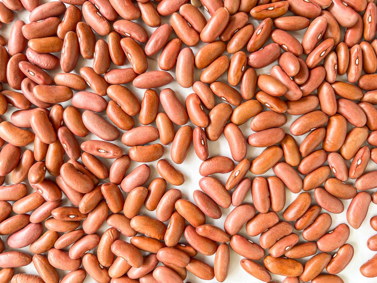 dried kidney beans spread across a table.