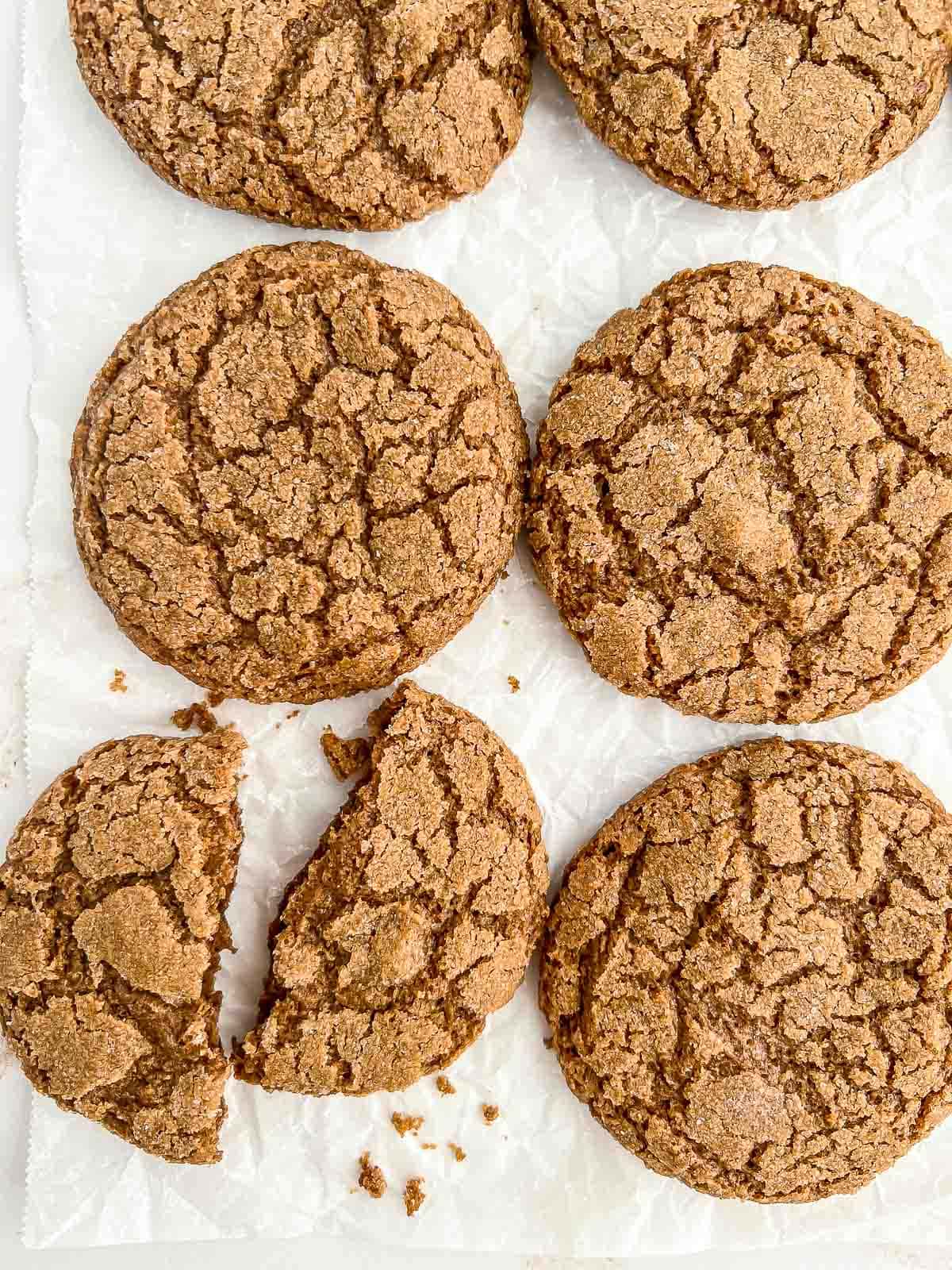 Vegan gingersnaps neatly lined up with one gingersnap broken in half.
